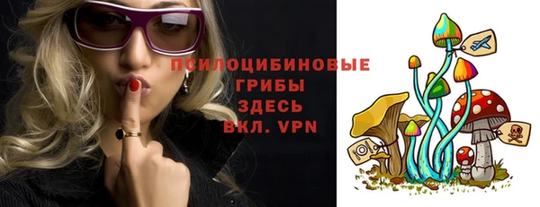 PSILOCYBIN Михайловск