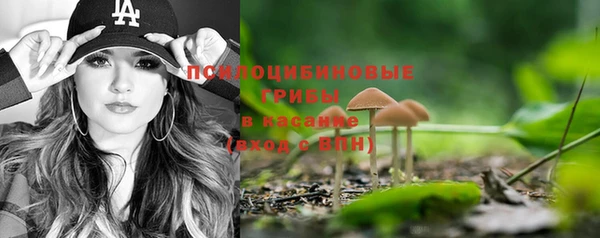 PSILOCYBIN Михайловск