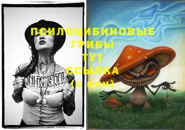 PSILOCYBIN Михайловск