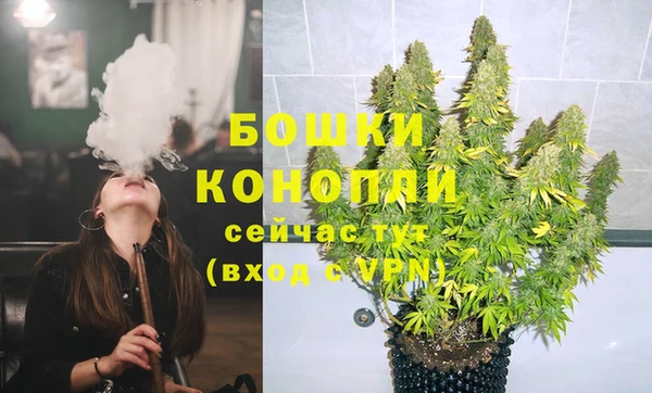 PSILOCYBIN Михайловск