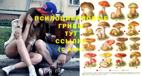 PSILOCYBIN Михайловск