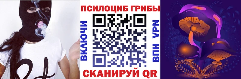 ссылка на мегу маркетплейс  Фурманов  Псилоцибиновые грибы ЛСД  дарнет шоп 